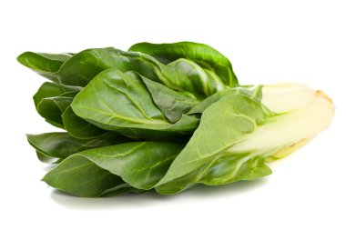 pazı bitki