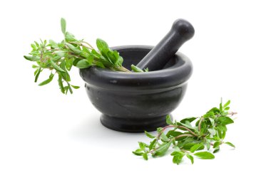 Marjoram.