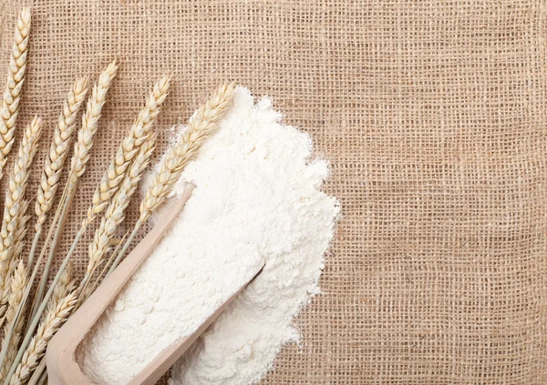 Вуха пшениці та борошно — стокове фото