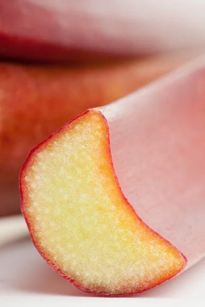 Rhubarb — Stock Photo, Image