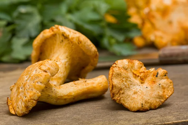 Chanterelle — Foto Stock