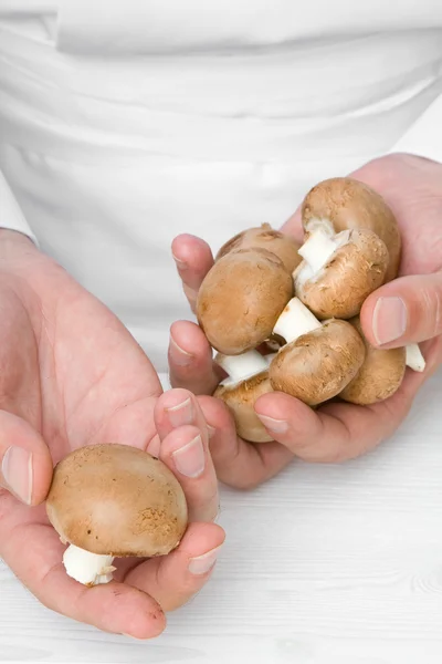 厨师炒蘑菇 — 图库照片