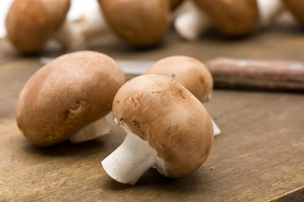 Organische paddestoelen — Stockfoto