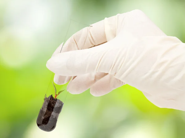 Investigação em biotecnologia — Fotografia de Stock