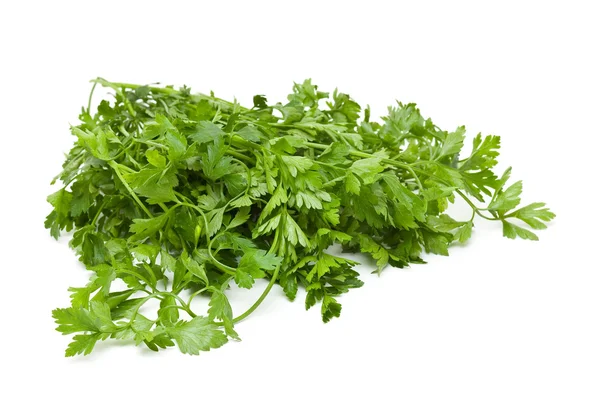 Parsley — Stock Photo, Image