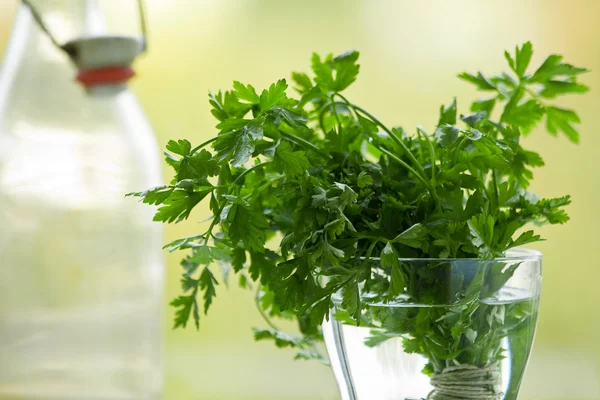 Parsley — Stock Photo, Image