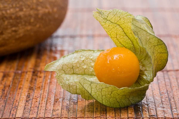 Physalis — Stockfoto