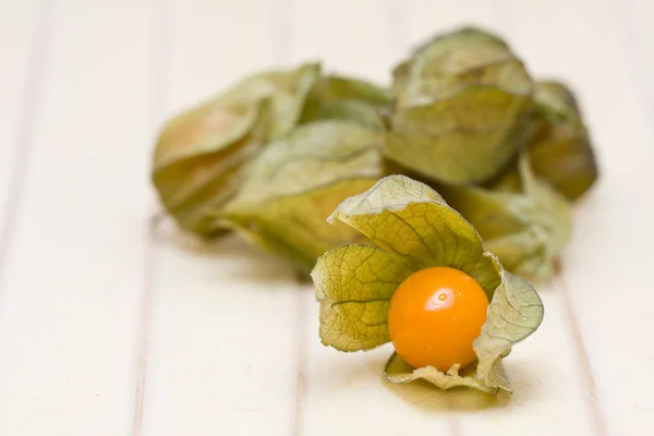 Physalis — Stockfoto