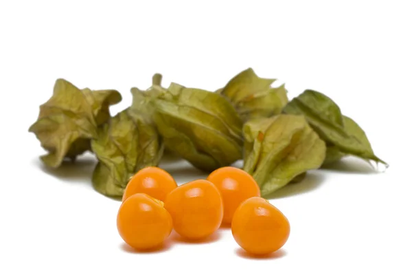 Physalis — Stock Fotó