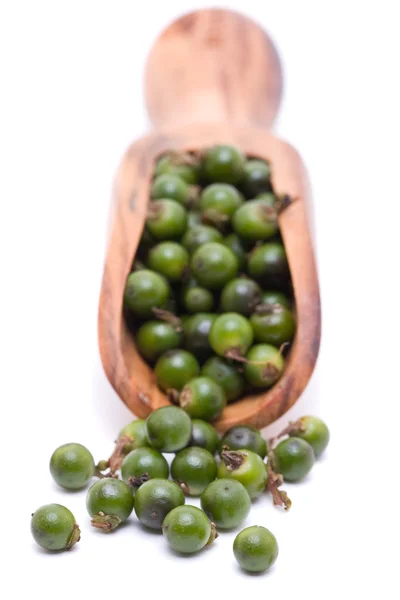 Green peppercorns — Stock Photo, Image