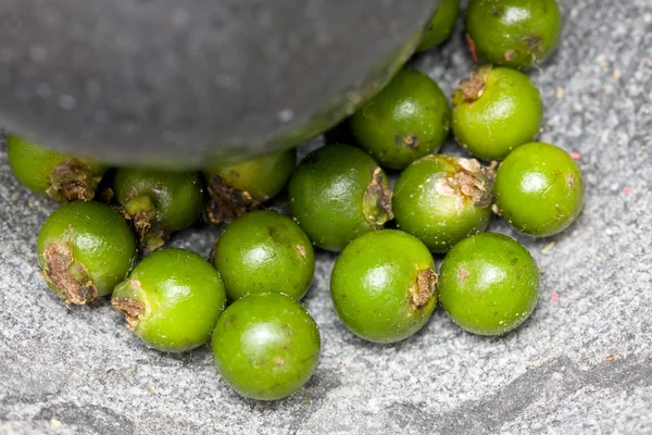 Céréales de poivre vert au mortier — Photo