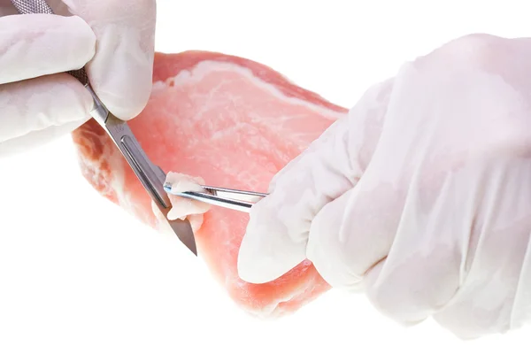 Researcher taking meat sample — Stock Photo, Image