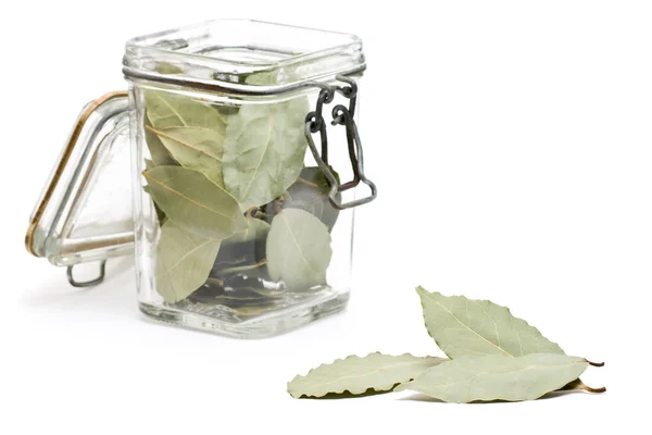 말린된 베이 잎 — 스톡 사진