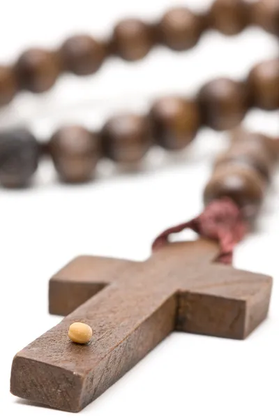 Mustard seed - symbol of faith — Stock Photo, Image