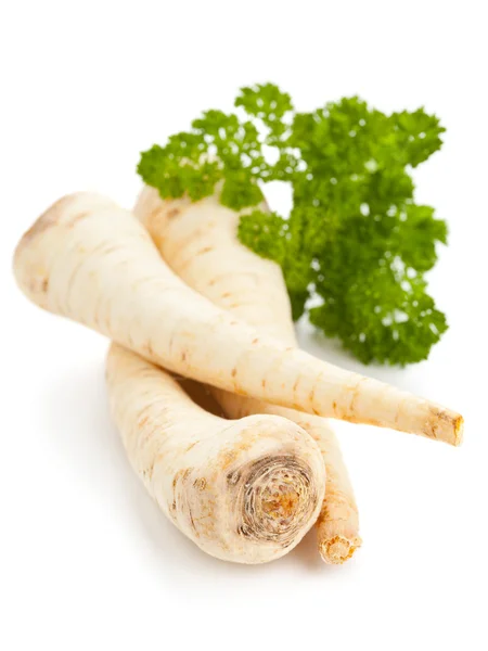 Parsley root — Stock Photo, Image