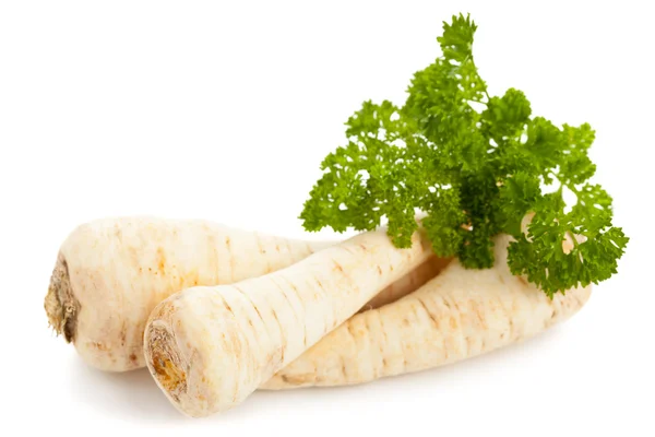 Parsley root — Stock Photo, Image