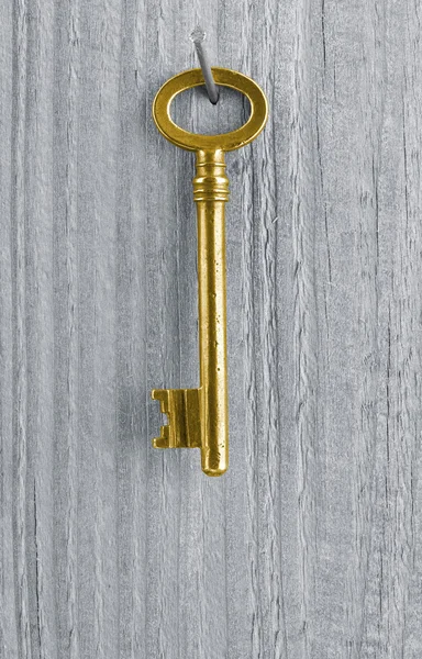金钥匙 — 图库照片