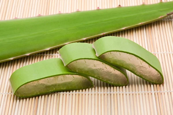 Aloe Vera — Stockfoto