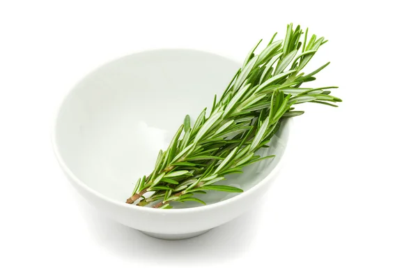 Fresh rosemary — Stock Photo, Image