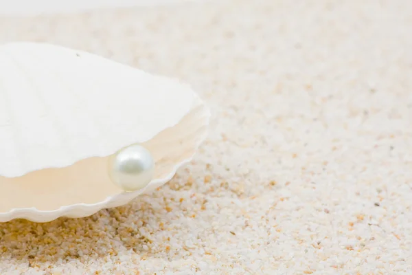 Cáscara de mar con perla —  Fotos de Stock