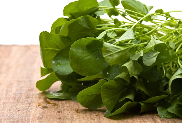 Upland cress — Stock Photo, Image