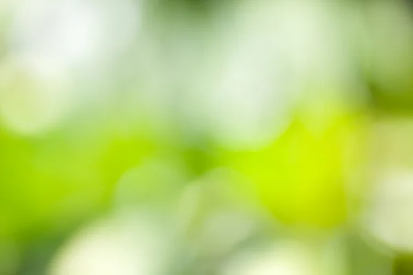 Abstract green blur — Stock Photo, Image