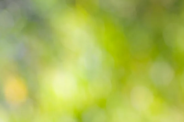 Abstract green blur — Stock Photo, Image