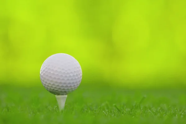 Golfspil - Stock-foto