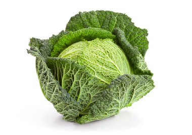 Savoy cabbage clipart