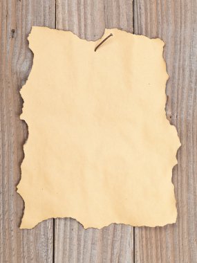 Grunge kağıt arka plan