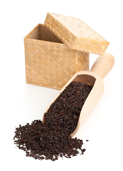Uprawa czarnej herbaty — Zdjęcie stockowe