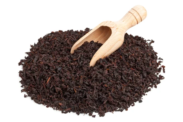 Black tea crop — Stock Photo, Image