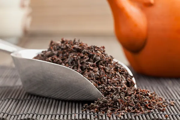 Black tea crop — Stock Photo, Image