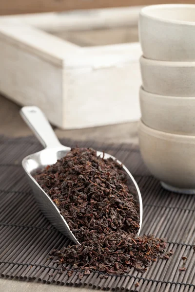 Black tea crop — Stock Photo, Image