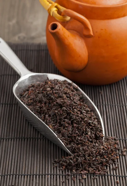 Černý čaj plodin — Stock fotografie
