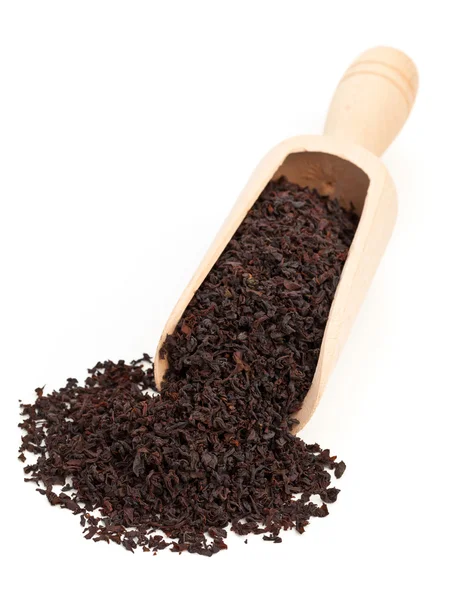 Black tea crop — Stock Photo, Image