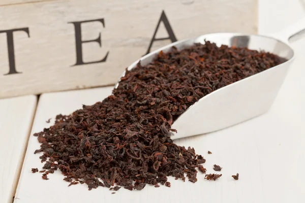 Black tea crop — Stock Photo, Image