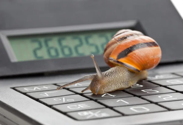 Langsame Finanzierung — Stockfoto