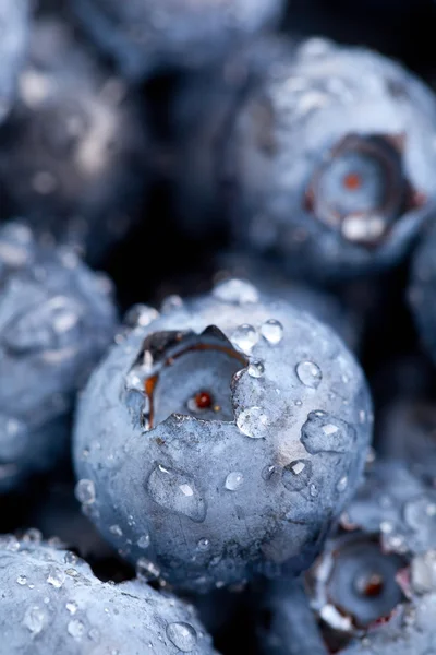 Blueberries macro — Stock Photo, Image