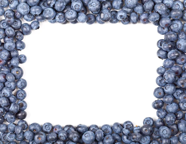 Blueberry frame — Stock Photo, Image