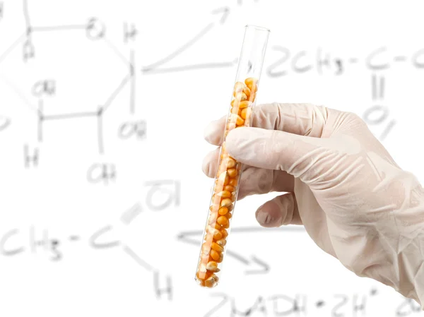 Investigación sobre biocarburantes —  Fotos de Stock