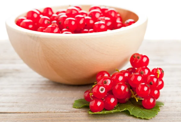 Redcurrants — Stock Photo, Image