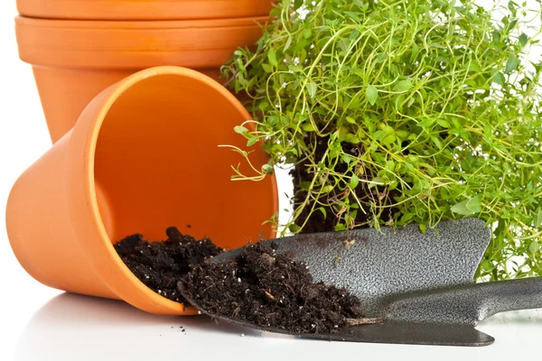 Panelas de plantas — Fotografia de Stock