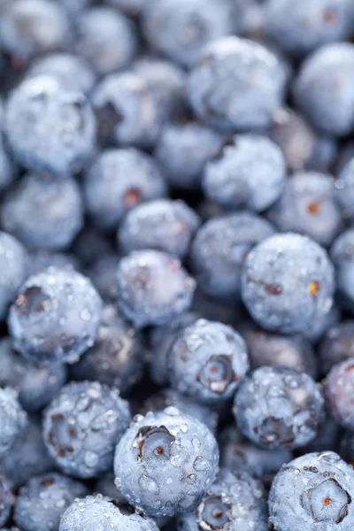 Blueberries macro — Stock Photo, Image