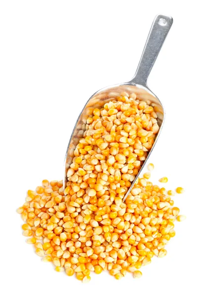 Kukurydza jądra — Zdjęcie stockowe