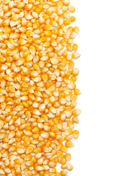 Kukurydza jądra — Zdjęcie stockowe
