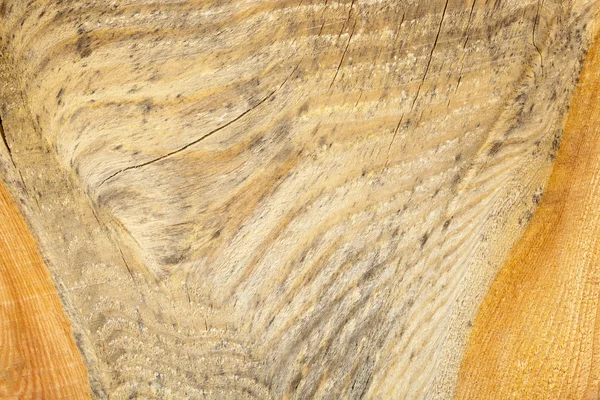 Wood texture macro — Stock Photo, Image