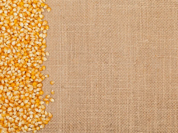 Grãos de milho — Fotografia de Stock