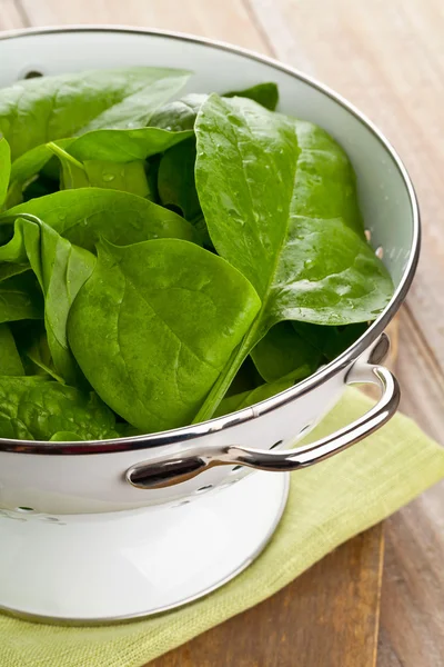 Fresh spinach — Stock Photo, Image