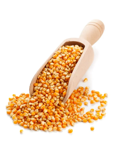 Corn kernels — Stock Photo, Image